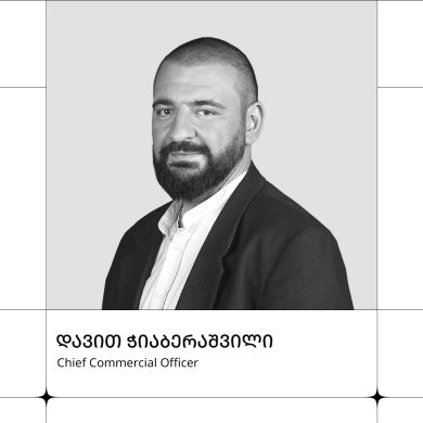 დავით ჭიაბერაშვილი
