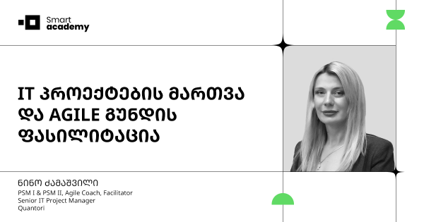 IT პროექტების მართვა და AGILE გუნდის ფასილიტაცია