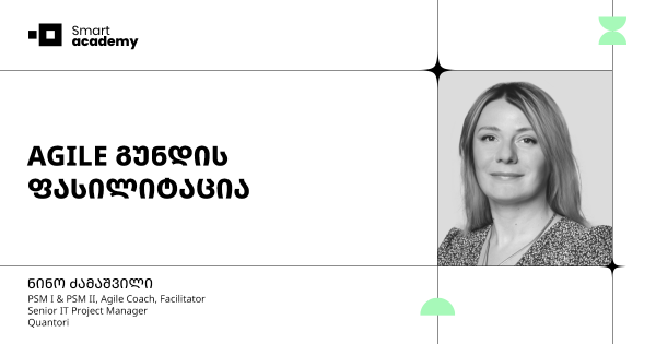 AGILE გუნდის ფასილიტაცია