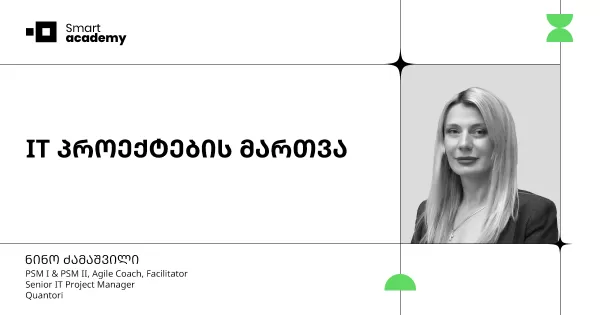 IT პროექტების მართვა
