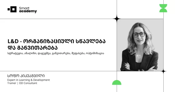 L&D - ორგანიზაციული სწავლებისა და განვითარების კურსი